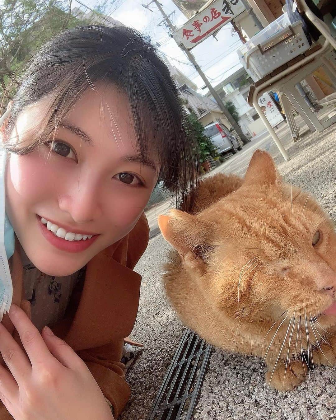 春原未来さんのインスタグラム写真 - (春原未来Instagram)「2022/02/22 猫の日🐈💖 昨年会った素敵な猫ちゃんたちをご紹介します。自由気ままに生きるっていいよねえ。いっぱいゴロゴロして,にゃんにゃんできる日が来るといいなあ…！🤣  Today is called Cat Day in Japan. Introducing the cute cat I met last year.  I would be happy if the day came when I could lie down like a cat and be loved.  #春原未来 #20220222 #20220222猫の日 #猫の日 #スーパー猫の日 #にゃんにゃんにゃんの日 #思い出振り返り #猫スタグラム #沖縄猫 #okinawacat #greatmemories #名護市営市場 #イノーコーヒー #innocoffeeshop #名護市 #nagocity #また行きたいな」2月22日 23時00分 - sunohara_miki