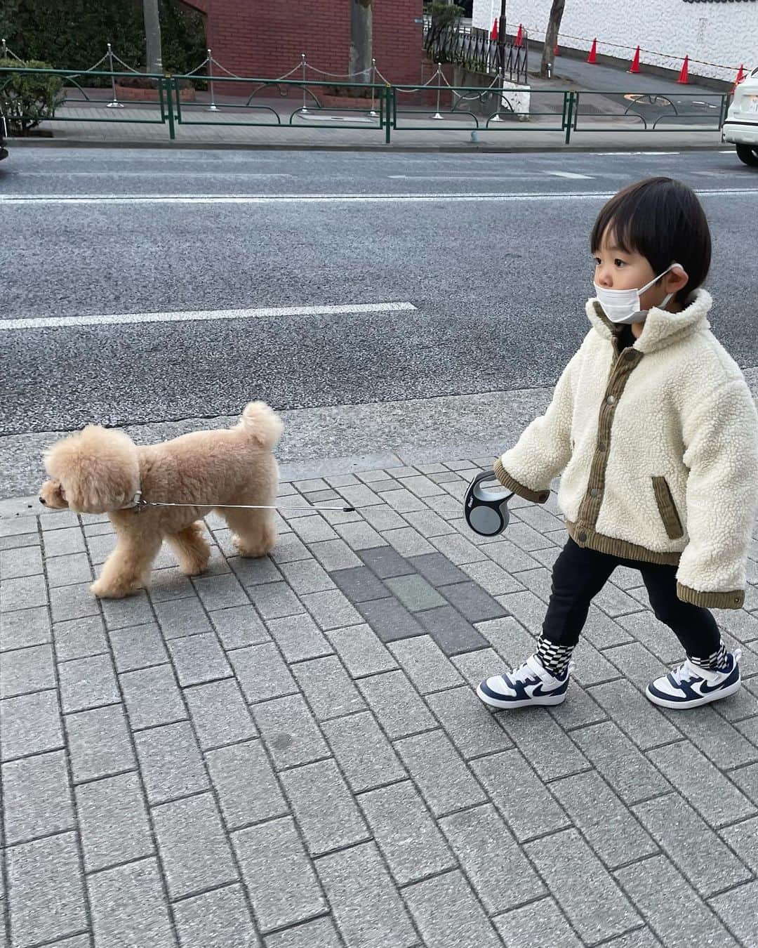 佐倉真衣さんのインスタグラム写真 - (佐倉真衣Instagram)「🐑🐑🐑☁️☁️☁️  成長したなあ #犬とこども #シャルルさん」2月25日 19時19分 - maitanaka20