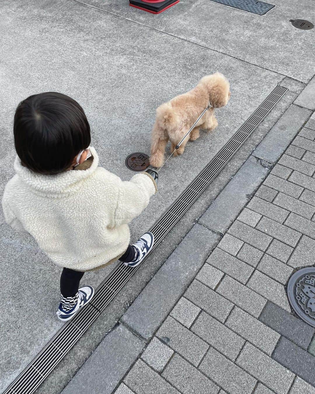 佐倉真衣さんのインスタグラム写真 - (佐倉真衣Instagram)「🐑🐑🐑☁️☁️☁️  成長したなあ #犬とこども #シャルルさん」2月25日 19時19分 - maitanaka20