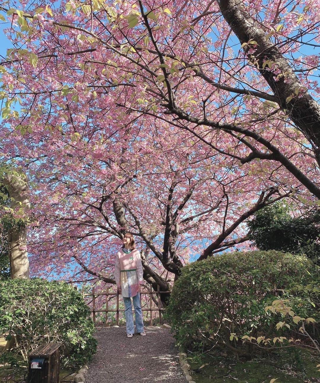 観月ありささんのインスタグラム写真 - (観月ありさInstagram)「だいぶ暖かくなってきましたね😊 花粉が多くなってきていて大変だけど。。。😮‍💨 今日は。かなり早めの春を満喫しました🌸🌸🌸 やっぱり着たくなってしまうピンク服👚  #観月ありさ #桜 #かなり早めの春 #春を満喫 #花粉多め #春はピンクが着たくなる  #etro」2月27日 17時34分 - alisa_mizuki