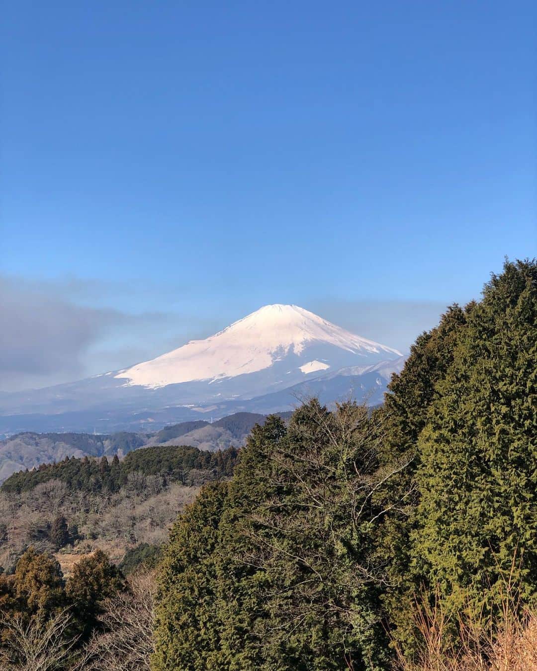 釈由美子さんのインスタグラム写真 - (釈由美子Instagram)「すっかり春めいてきましたね。  先週末は、神奈川県足柄上郡山北町にある標高723.1mの  大野山(おおのやま)に  息子と親子登山してきました⛰  登山というより ハイキングですね。笑  でもヤンチャな5歳児連れなので ケガとか事故とかないか  毎回、山歩きはヒヤヒヤします😨  富士山🗻を拝みたかったので 早朝に出発。  まだ朝は寒いので たくさん着込みましたが  歩いているうちに暑くなり 息子はすぐにアウターを脱いだかと思いきや、  山道をいきなりダッシュ💨  「コラーッ！！ 危ないから走っちゃダメー！🙅‍♀️」  と言っても  スピードは増すばかり。。  ママはひーひー言いながら  息子の背中を必死でついていくのがやっとでした😵💦  なんという体力。。  山頂では、多少霞んでいたものの キレイな富士山が見られて  疲れも吹き飛びました✨🙏😆  「山登りたのし〜い❣️」  と喜んでくれる息子。  自然からたくさんのことを 感じて、 成長してくれるといいな🌱✨  私も幼い頃、  父によく山に連れて行ってもらってたけど  あの頃の父の気持ちが 今になってすごくよくわかります🥺  次はどこの山を登りに行こうか、と ニヤニヤしちゃいますね🤤笑  @millet_jp   #親子登山 #大野山ハイキングコース  #富士見100景   #まずは低山で山を親しんでから #いつか息子と富士山登るのが夢」2月28日 20時30分 - yumikoshaku