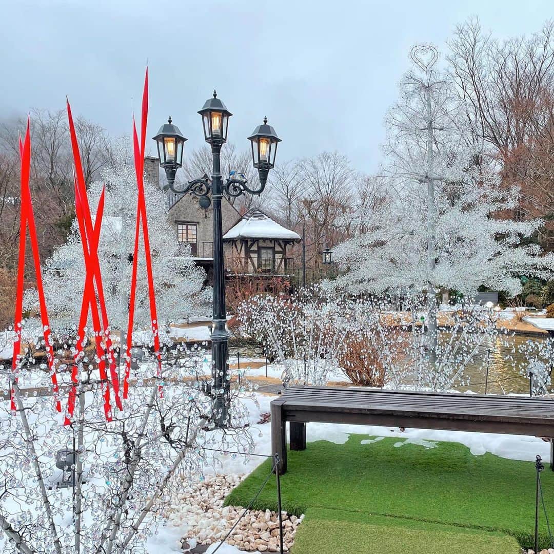 中島亜莉沙さんのインスタグラム写真 - (中島亜莉沙Instagram)「もう春だね☺️🌸  先日 #箱根ガラスの森美術館 に行ってきたよ！ 雨だったけど室内展示もあるから楽しめました🙆🏼‍♀️ カフェではバイオリン演奏もあって ヴェネチアみたいだったなー🎻(行ったことありません)  ３月も素敵な月にしようね🎎  #よんまいめ #多分あくびしてる人  #箱根 #箱根旅行 #雨の日デート」3月1日 20時28分 - arisan_days