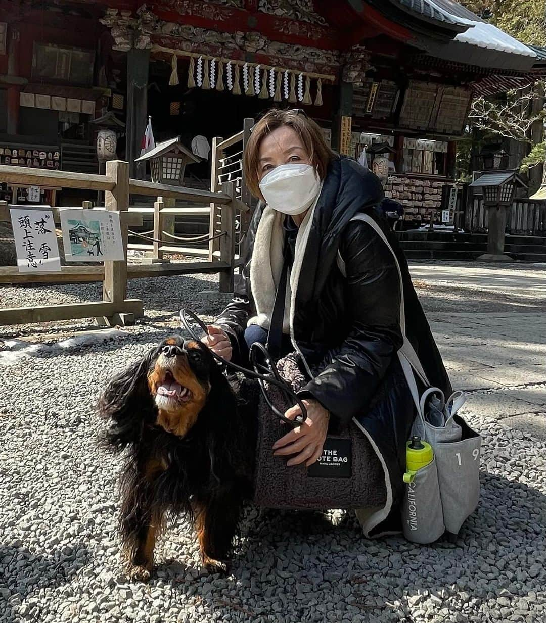 奈美悦子さんのインスタグラム写真 - (奈美悦子Instagram)「おついたち。山梨県北口本宮富士浅間神社へ。クッキーも一緒。#山梨県 #富士吉田 ＃北口本宮富士浅間神社#浅間神社 #愛犬 #クッキー #4歳 ＃キャバリア#キャバリアキングチャールズスパニエル #ブラックタン #可愛い #我が家のアイドル #癒し犬」3月1日 20時59分 - nami.etsuko