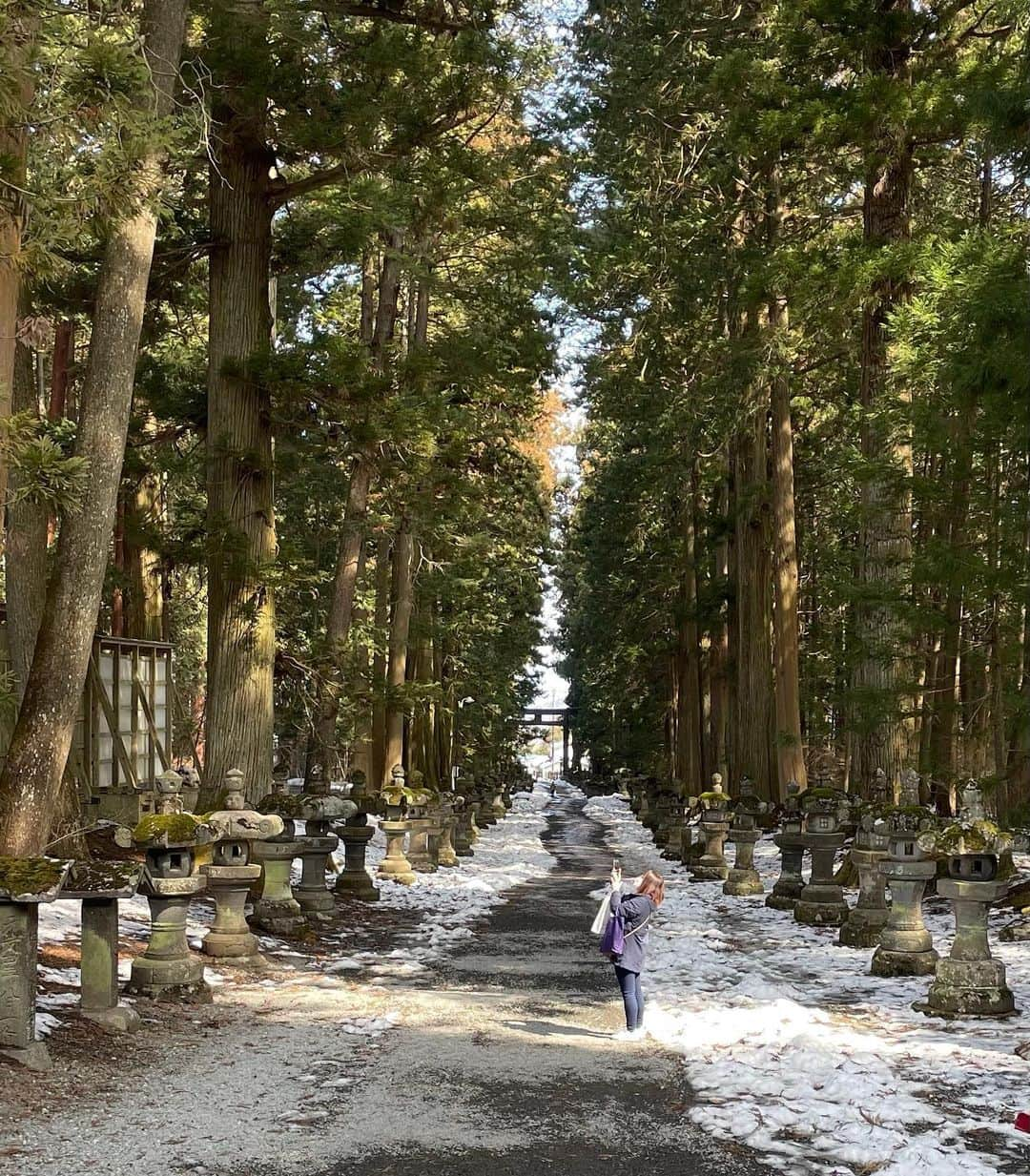 奈美悦子さんのインスタグラム写真 - (奈美悦子Instagram)「おついたち。山梨県北口本宮富士浅間神社へ。クッキーも一緒。#山梨県 #富士吉田 ＃北口本宮富士浅間神社#浅間神社 #愛犬 #クッキー #4歳 ＃キャバリア#キャバリアキングチャールズスパニエル #ブラックタン #可愛い #我が家のアイドル #癒し犬」3月1日 20時59分 - nami.etsuko