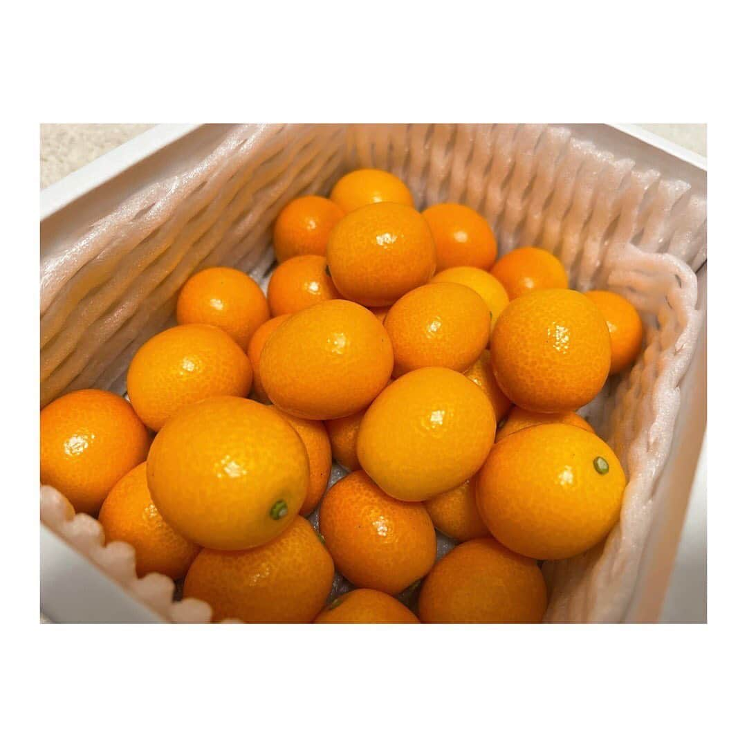 玉井詩織さんのインスタグラム写真 - (玉井詩織Instagram)「最近、柑橘好き🍊ビタミン！ビタミン！ #金柑#土佐文旦#みかん」3月2日 12時04分 - shioritamai_official