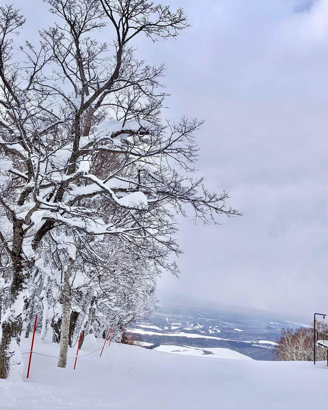 美咲あいりさんのインスタグラム写真 - (美咲あいりInstagram)「❄️ ⁡ もふもふの雪気持ち良い〜❄️❄️❄️ ⁡ ⁡ #7eスノーパーク #7e #駒ヶ岳  #雪 #もふもふ #七飯スノーパーク  #スノーボード #北海道 #函館」3月2日 14時36分 - misakiairi
