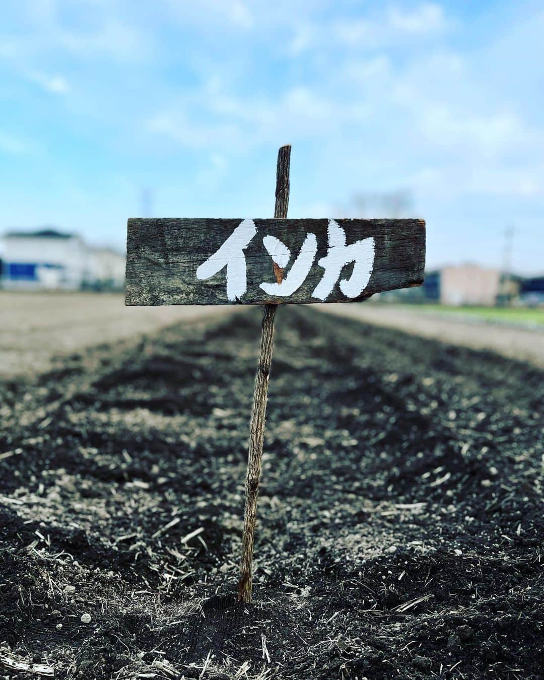 渡邉裕規さんのインスタグラム写真 - (渡邉裕規Instagram)「farmer's day🥔  #work #農業」3月3日 11時15分 - onabe.13
