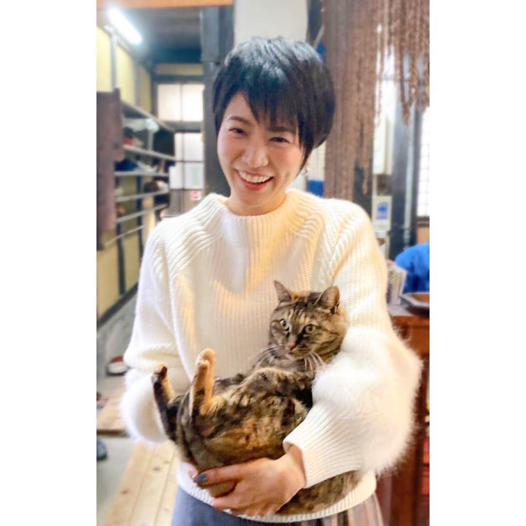 村井美樹さんのインスタグラム写真 - (村井美樹Instagram)「本日(3/3)発売の『週刊新潮 ・3月10日号』の特集ページ「とっておき私の京都」(4回連載中の3回目)は、 #河井寛次郎記念館 を紹介させていただきました☺️  寛次郎がかつて暮らしていた自宅兼アトリエが記念館になっていて、趣のある日本家屋に寛次郎の作品が飾られています。  暮らしに寄り添うように作品が溶け込んでいて、とても居心地のいい大好きな場所。  数年前から野良猫の「えき」ちゃんが住み着くようになり、看板猫になっているそう。特別に抱っこさせてもらいました。さらに猫ちゃんが加わってますますお気に入りの場所に😻  ニット　@strawberry_fields_official スカート　@edit_gris_official   #週刊新潮 #河井寛次郎 #河井寛次郎記念館 #えきちゃん #京都」3月3日 15時11分 - miki_murai_