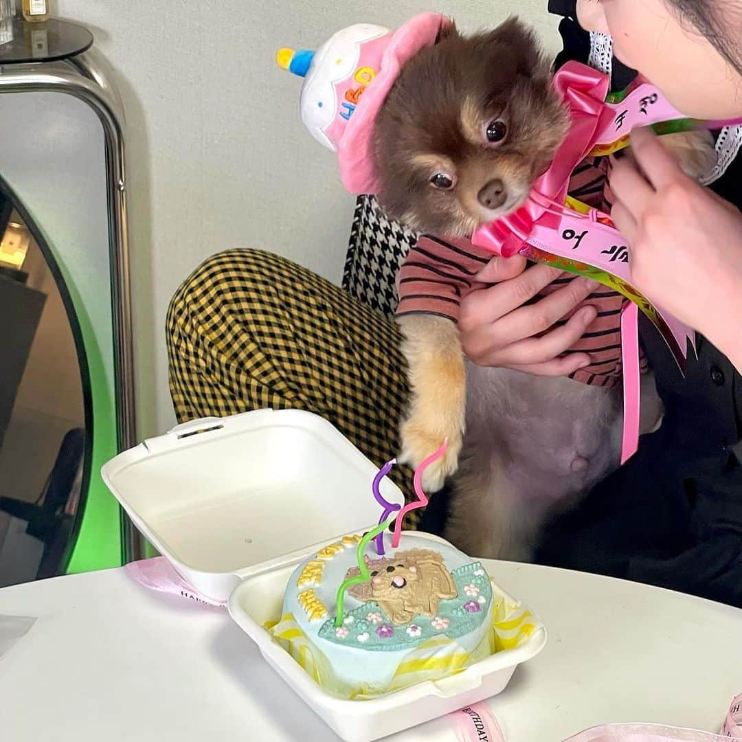 ジョンハさんのインスタグラム写真 - (ジョンハInstagram)「나만 신났던 너의 생일🧸🍰🍒 3번째 생일을 진심으로 축하해 이 세상에 태어나 내 곁에 와줘서, 이 세상 그 무엇보다 내게 소중한 존재가 되어줘서 너무 고마워 앞으로도 우리 함께 행복한 시간 보내면서 아프지말고 건강하게 사랑만 하자 목숨만큼, 목숨보다도 내가 정말 많이 아끼고 사랑해」3月5日 17時13分 - 1993kg