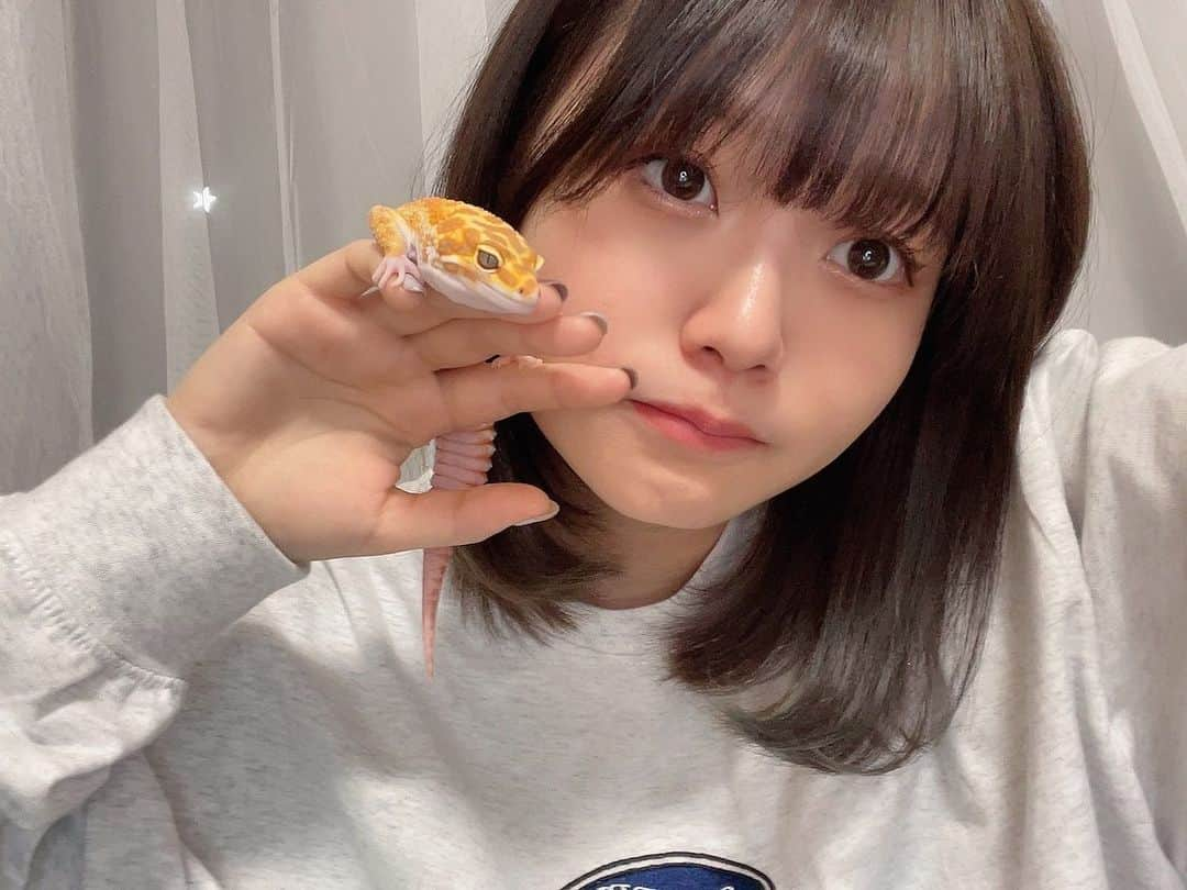 鹿沼亜美さんのインスタグラム写真 - (鹿沼亜美Instagram)「毎日の癒し🦎 さぁ、おやすみなさい！！！  #爬虫類 #爬虫類好きの人と繋がりたい #爬虫類好き#レオパ#レオパードゲッコー#ヒョウモントカゲモドキ#フォローミー#followme#鹿沼亜美#あみまるのいる生活#ミディアムヘア #おやすみ」3月5日 21時15分 - ami_1212one