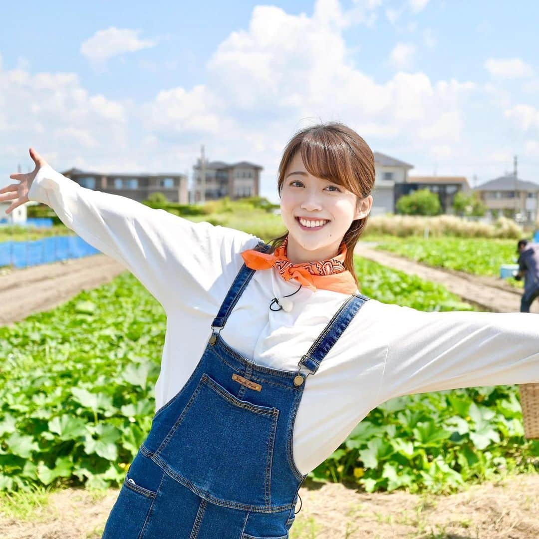 澤井志帆さんのインスタグラム写真 - (澤井志帆Instagram)「.2022.3.6 ⁡ 昨日の「ごちカン」🌱 浜松市からエシャレットの話題。 ご覧頂きありがとうございました😊 シャキシャキ食感のエシャレット、生で食べても火を通しても美味しかった♩ 皆さんもぜひ味わってみてください！ ⁡ ごちカンの写真を振り返ると、JAの職員さんが撮ってくださった素敵な写真を見つけました👀 これは去年の夏、浜松市のトウガン生産者さんの圃場を訪ねた時。 青空とトウガンの緑が絵みたいに綺麗ですよね〜！ 真夏から真冬まで、ごちカンは農産物や景色など色んな視点で四季を感じられる番組です🌱 ⁡ ⁡ #DaiichiTV#ごちカン#アナウンサー#國本良博 さん#静岡#浜松市#トウガン」3月6日 20時02分 - shiho_sawai