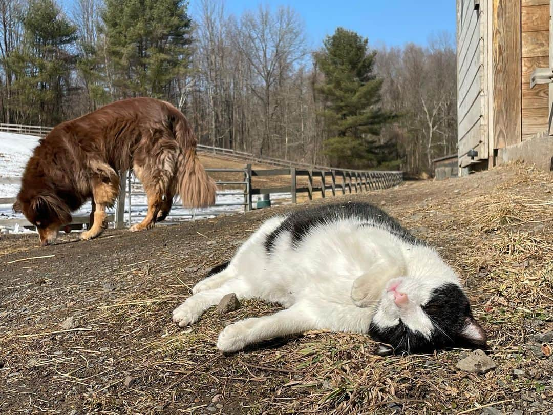 アマンダ・サイフリッドさんのインスタグラム写真 - (アマンダ・サイフリッドInstagram)「Monday」3月8日 11時07分 - mingey