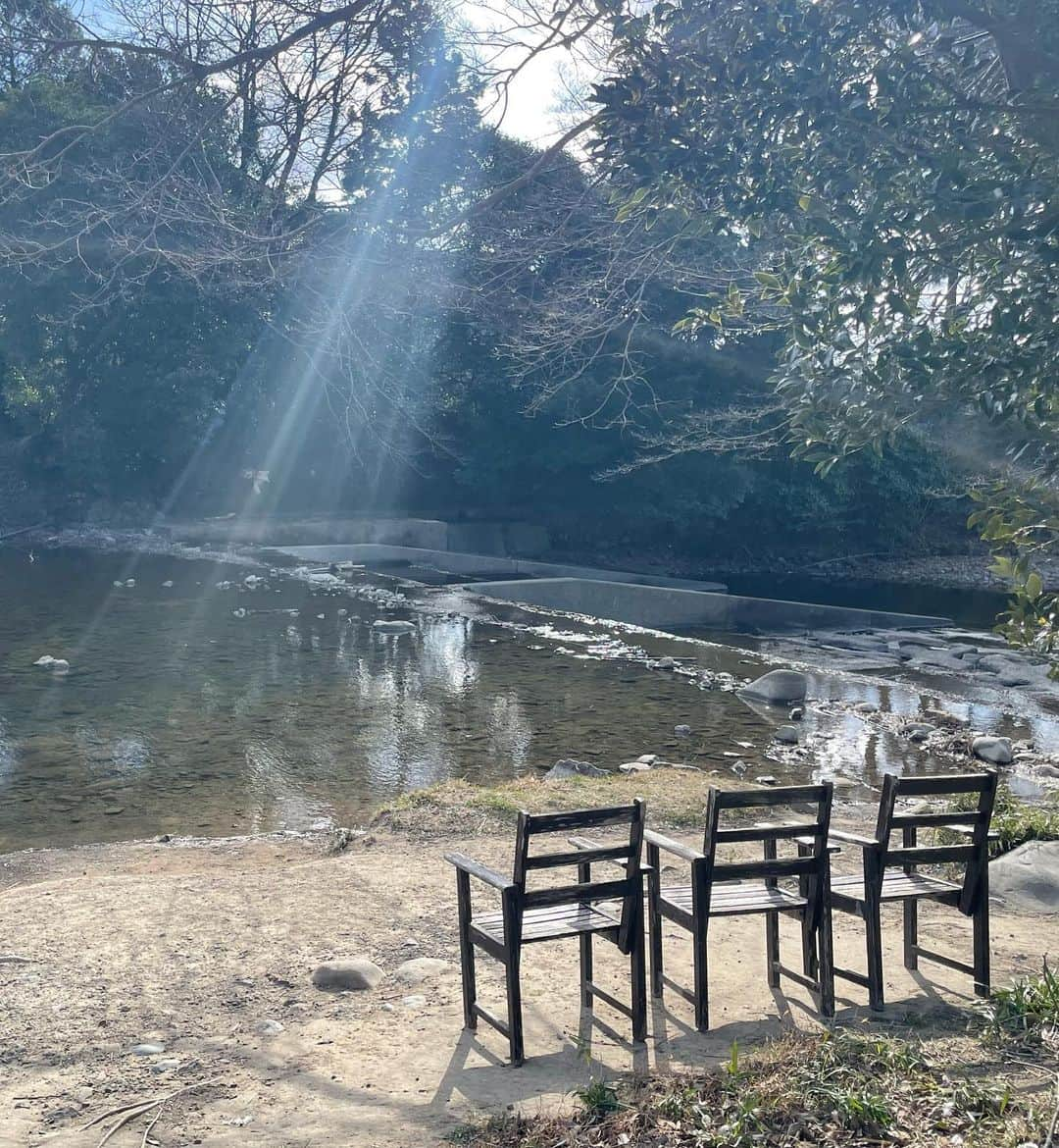 小野澤玲奈さんのインスタグラム写真 - (小野澤玲奈Instagram)「この前の癒し時間🥛  自然の中でコーヒー牛乳ならぬ 紅茶牛乳☕️しかもHOT♡  ヤギの親子かわいいね〜🐐💕  #しばちゃんランチマーケット  #掛川 #掛川カフェ  #紅茶牛乳  #shizuokalife  #このあと道で大根をもらう」3月8日 14時27分 - reina.onozawa