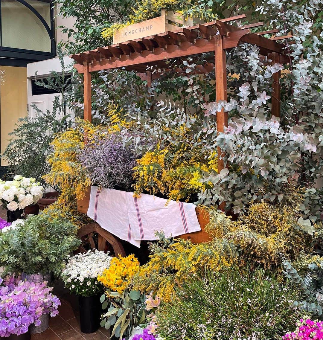 丸林広奈さんのインスタグラム写真 - (丸林広奈Instagram)「国際女性デーの今日は沢山のお花に囲まれたLONGCHAMPの素敵なイベントにご招待いただきました💐  サシェやバーム作りなどの体験もできて大好きな南フランスに旅したかのよう…🥺🤍 　  フレンチリネンの老舗のCharvetとのコラボレーションで作られた新作のトートバッグを頂きました♡ 軽くて柔らかくてざっくり持てる感じが好き。 これから大活躍してくれそうです♡  @longchamp  #ad #LongchampParisProvence  #LongchampTresParis  #ロンシャン」3月8日 21時22分 - hironamarubayashi