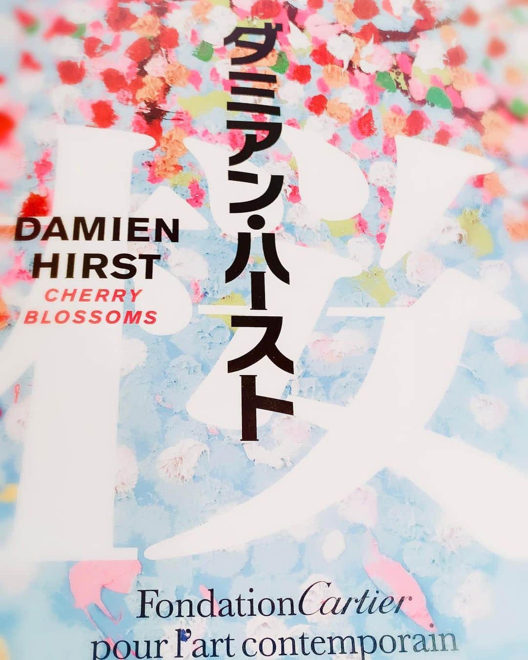 小西真奈美さんのインスタグラム写真 - (小西真奈美Instagram)「春はもうすぐそこですね。 ひと足早く、満開の桜を🌸 迫力と美しさと、儚さに感動。。。 足を運んで実物を観ることでしか 動かない心の一部があることを、 改めて感じた時間でした✨  #国立新美術館 #ダミアンハースト #桜 #絵画」3月9日 19時22分 - manami.official