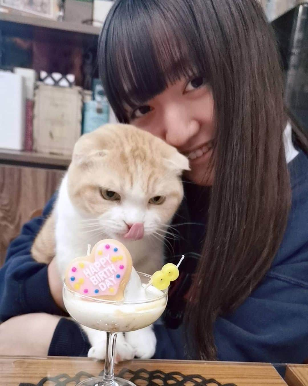 谷花音さんのインスタグラム写真 - (谷花音Instagram)「・ 昨日ははっさくの8歳のお誕生日でした🎂 はっさく、おめでとう🥰  #はっさく #谷花音 #はっさくみかん #お誕生日 #おめでとう！！ #可愛い可愛い #はっさくが #いつまでも #大好きだよ🥰」3月9日 21時27分 - t_kanon_ta