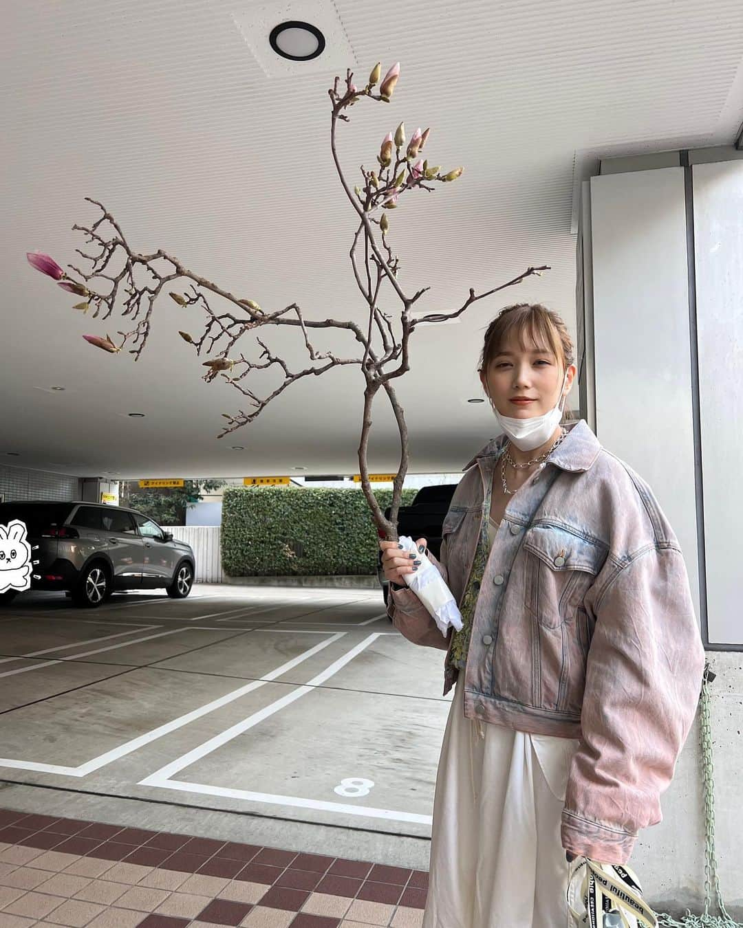 本田翼さんのインスタグラム写真 - (本田翼Instagram)「🌴 枝もらったよー🥳 花咲くらしいよー🌷」3月10日 18時40分 - tsubasa_0627official