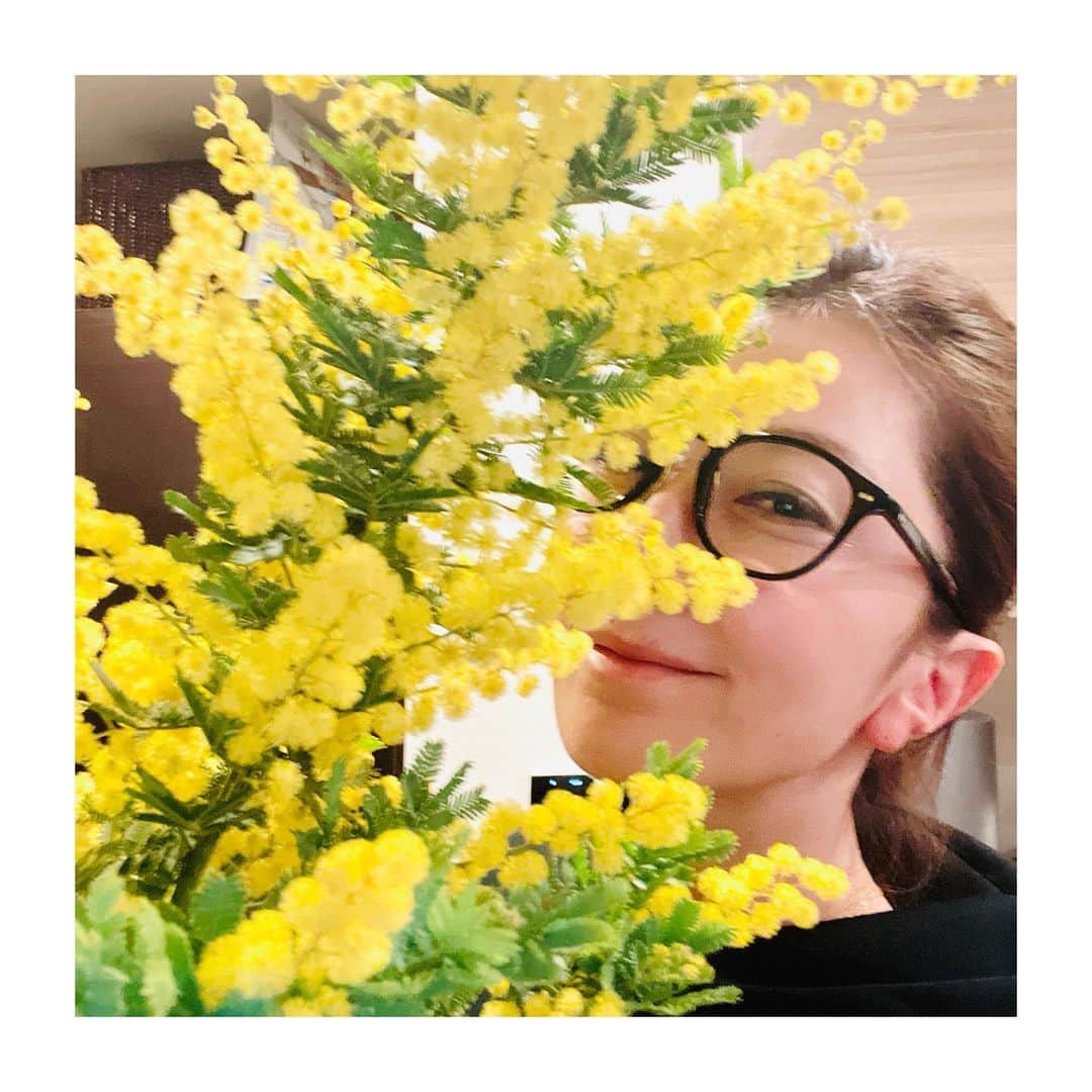 坂田陽子さんのインスタグラム写真 - (坂田陽子Instagram)「私が帰り道にふとお花を買う理由は明快で 物凄くhappyな時か 物凄く落ち込んでいる時。 ・ 先日は店先の鮮やかな黄色のミモザがまるで心を明るく照らしてくれるようで思わず店に飛び込んだ。 ・ ・ 何の罪もなく避難所生活を強いられているウクライナの方達。 キエフの防空壕の中で 少女が唄っている映像をみて、胸が熱く、痛くなりました。 人間は困難な状況においても 希望を見出せる強い生き物なんだと信じて 希望の光を絶やさずに とにかく1日も早く、 異常なまでに混乱したこの世界の 痛みや苦しみから解放される日が来てほしい。。 ・ #stopwar」3月11日 2時45分 - yokosakata