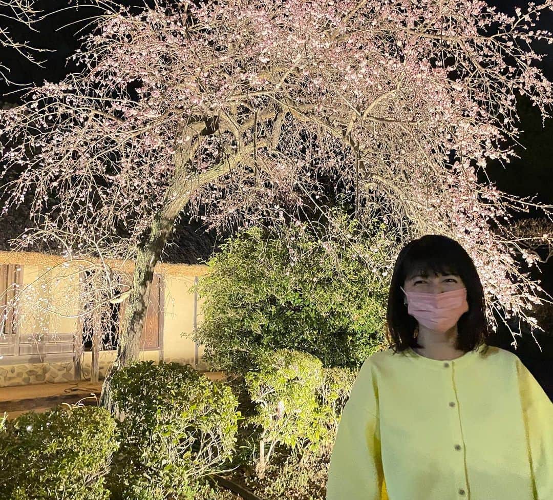太田景子さんのインスタグラム写真 - (太田景子Instagram)「ライトアップされた梅って初めて見たかも…❤️ 桜とはまた違う風情があってキレイでした🙌🏻✨  久しぶりに六本木の局を飛び出しましたがやっぱり朝から外を歩くと気持ちが良いですね〜☺️😘😆」3月11日 9時43分 - keiko_ota1121