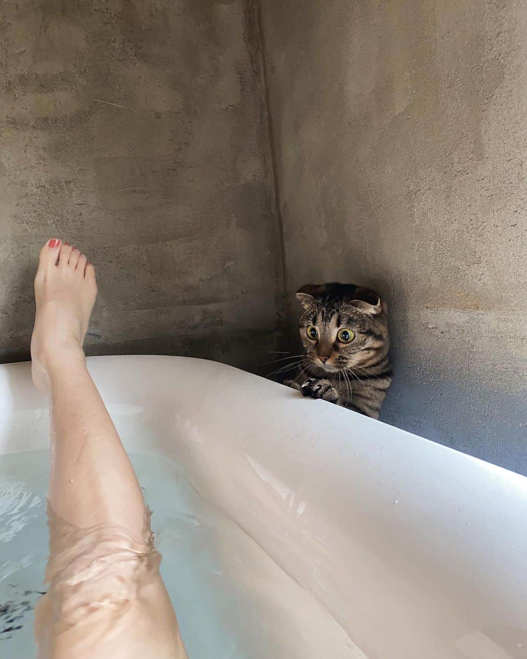 Ami さんのインスタグラム写真 - (Ami Instagram)「お昼に電気をつけずゆっくり入るお風呂が好き🛀 そしてペンちゃんが周りでうろちょろしてるのも最高に癒し🐾❤️」3月11日 12時18分 - ami_dream05