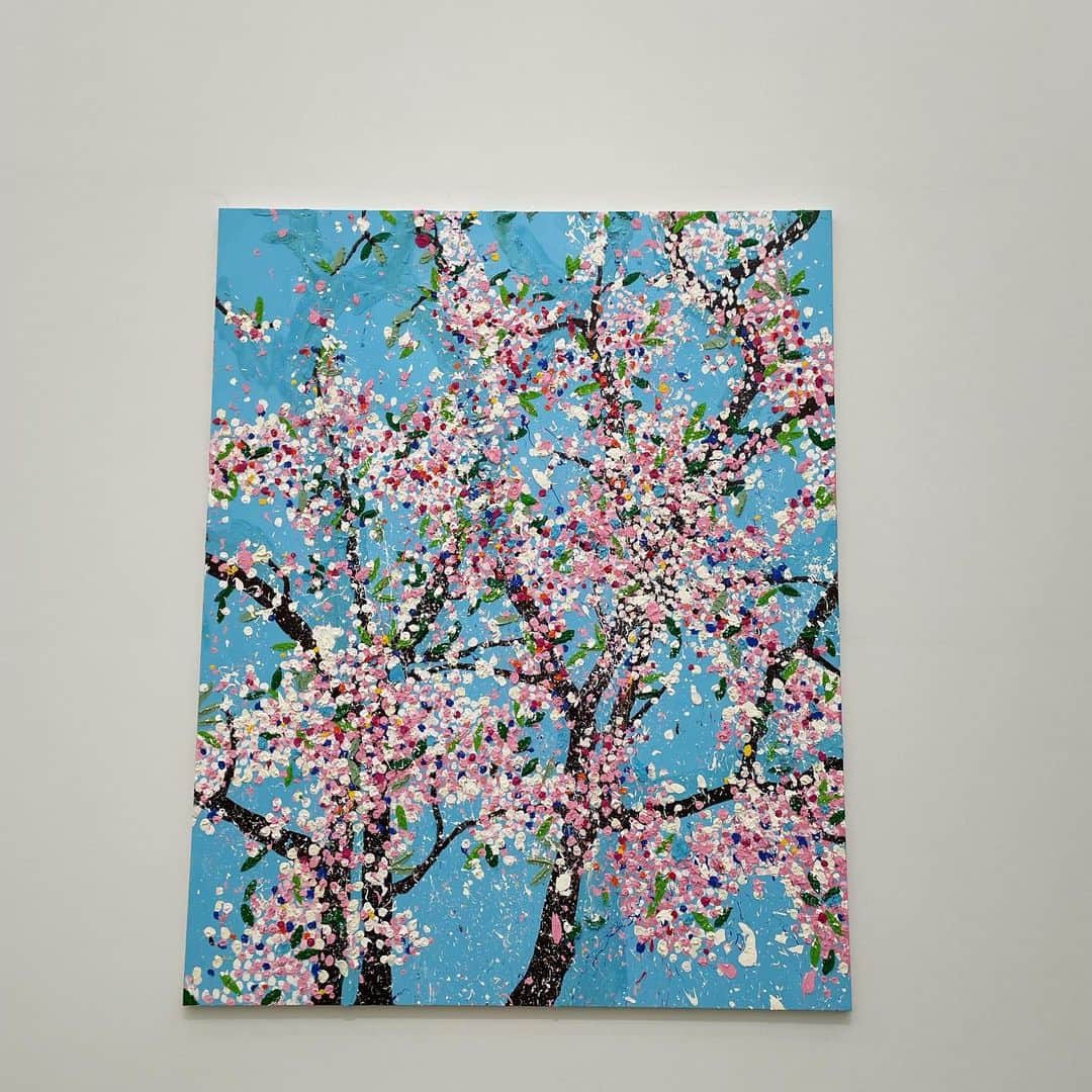望月理恵さんのインスタグラム写真 - (望月理恵Instagram)「満開の桜🌸  国立新美術館で開催中、 「ダミアンハースト　桜」展  107点から成る「桜」シリーズから作家自身が選んだ24点の大型絵画が展示されています。  会場がまさにお花見気分。 絵の迫力に圧倒され、 胸が高鳴りました。 近づいたり離れたりいろんな距離と角度で楽しみました いい体験をありがとうごさました。 #ダミアンハースト桜   まもなく日本は桜の季節到来ですね  平和で、穏やかに、 桜を愛でることが出来ますように。  #3月11日 #東日本大震災から11年 #被災された方々に心よりお見舞い申し上げます  #天災だっていつ起るかわからないのに 戦争なんてありえない #命を大切にしましょう」3月11日 17時27分 - mochiee28