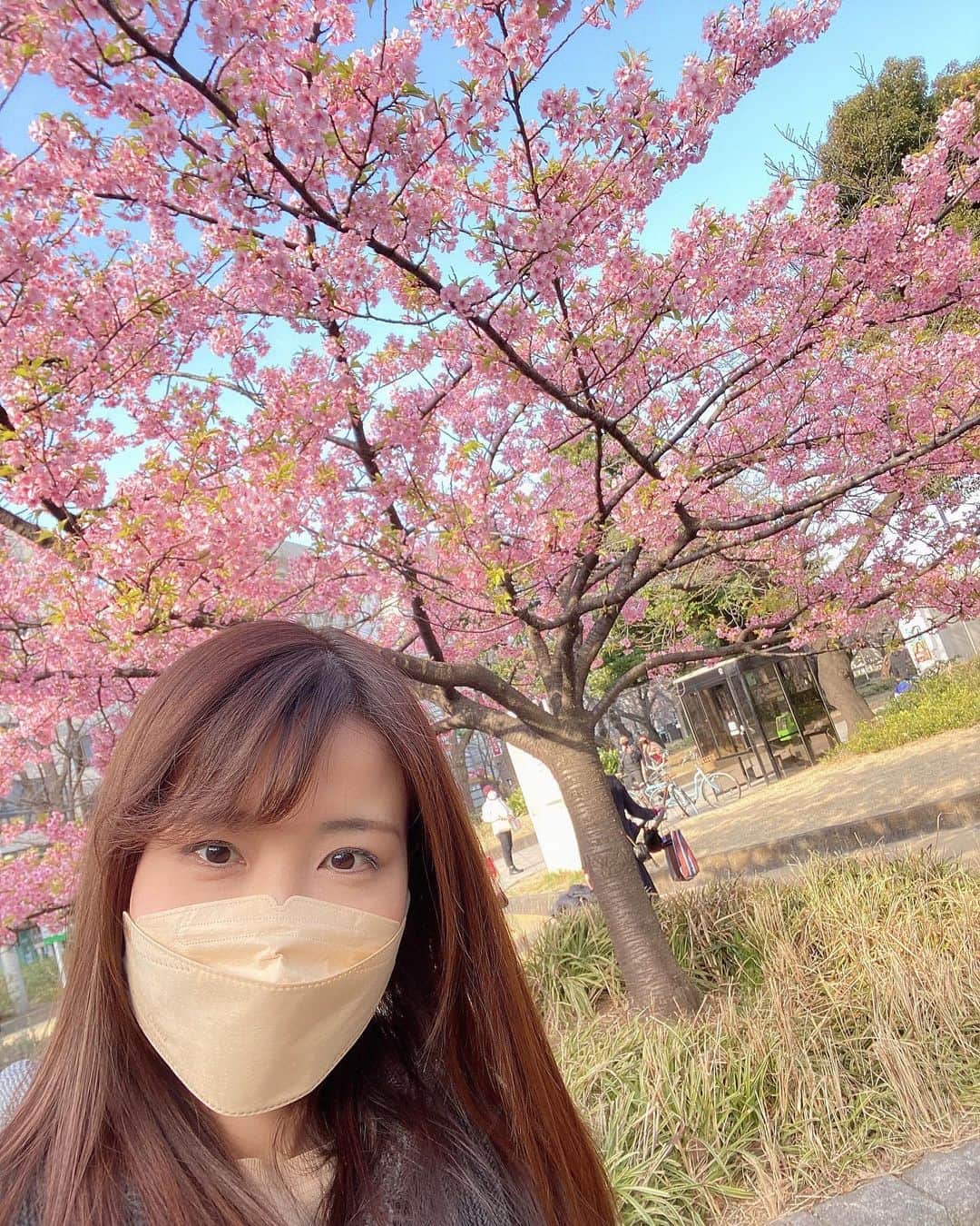 道岡桃子さんのインスタグラム写真 - (道岡桃子Instagram)「🌸🌸🌸  あまりの美しさに 夢中で撮ってしまいました✨  キャメラマン桃🍑📷  小さい子もシャッター押しててなんとも平和な空間でした😊  #桜 #お花見 #春  #cherryblossom #桃 #sakura #spring  #japan #japanese  #japaneseculture」3月12日 10時56分 - momoko_ana