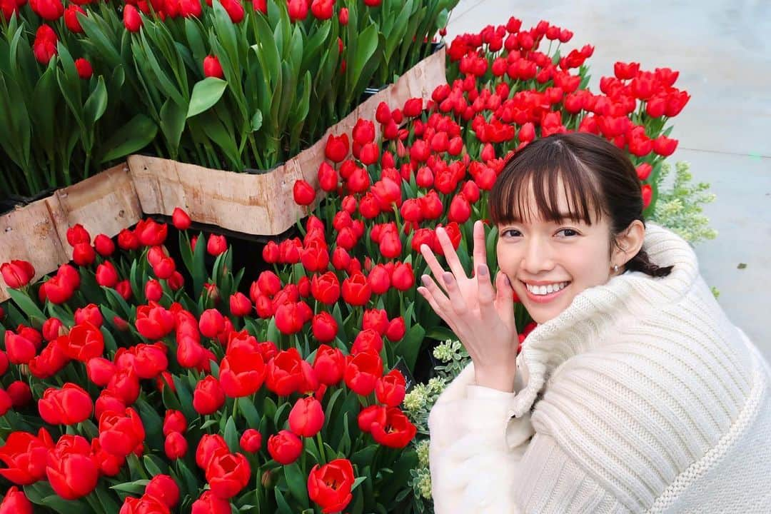 佐藤栞里さんのインスタグラム写真 - (佐藤栞里Instagram)「. 今週も有吉の壁ありがとうございました！ 可愛らしいお花の前で黒沢さんと☺︎ 三つ編みなんてしちゃったりしたのですが 黒沢さんとおそろいだったので嬉しかった日☺️ #わたしも一緒にお花見てほしいな🌸 #いろんなメロディーのあるある聞きたい #君塚さんまたどこかでお会いできますように！ #山本気まじ噛む #シュウジさんも素敵なこと言ってたのだけどなあ😂 #オーガニックっていろいろあるんだな🌿 #悦子さんと言うお名前なのですね素敵🥺 #左からの花粉にはご注意をぉぉぉ！！ #何者菜のください🙋 #わたしもシーマン世代です🐟 #話し相手の種🥰」3月13日 21時59分 - satoshiori727