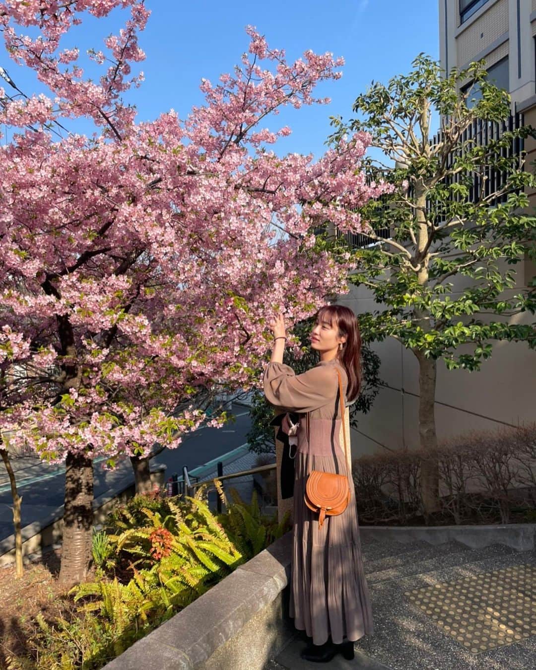 今野杏南さんのインスタグラム写真 - (今野杏南Instagram)「* 最近とても暖かいですね🌷✨  今日なんて暑いくらい...👏🏻  たくさんお花を見に行きたいな🤍」3月14日 11時26分 - anna_konno0615