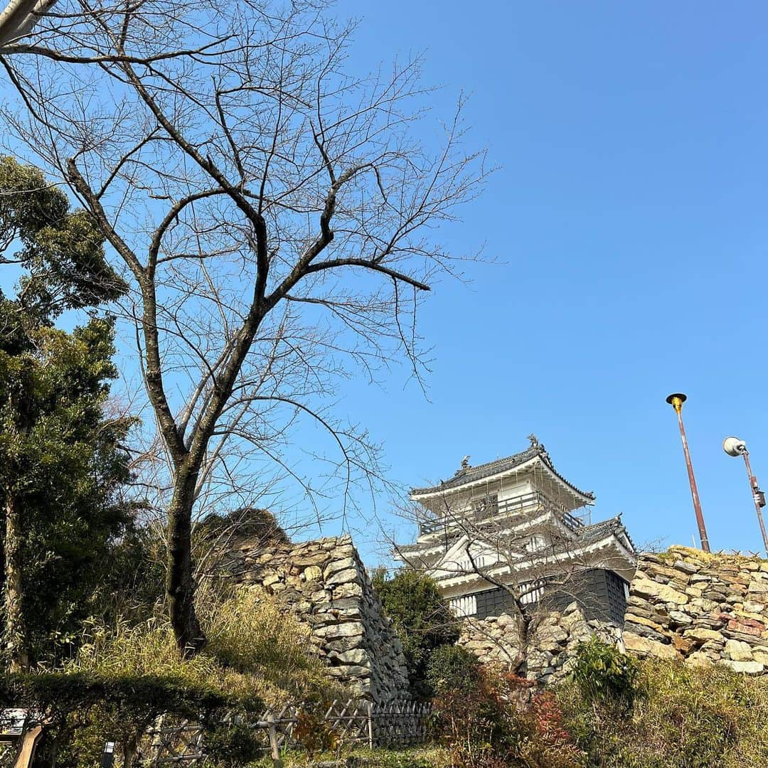 荒木宏文さんのインスタグラム写真 - (荒木宏文Instagram)「とても興味深い空間での芝居になりました。 徳川家康、この本丸のにっかり青江にはとても大きな意味を持っているのだと感じさせられた公演だった。 そう思っているのはお客さんの中にも多くいたんだと思う。 御当地台詞の所で伝わってくる客席からの空気が凄くて…。 個人的に静岡公演は「勝利の凱歌」が色濃く溢れてきた。 あの頃の思い出が濃い役になってた気がする。 全部大切に思っても、時期や場所、シチュエーションが変わると浮かぶ絵は変わる。 面白い。 いつも新鮮に立たせてくれる、客席からの新鮮な空気。 その空気を吸うその時にしか生まれまい役を精一杯生きよう。  #ミュージカル刀剣乱舞 #にっかり青江 #単騎出陣 #静岡公演 #静岡県」3月14日 12時12分 - araki_hiro0614