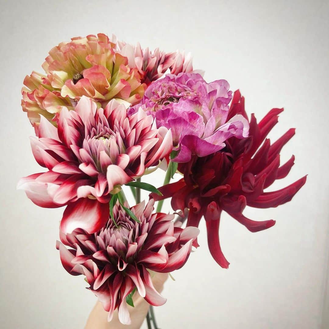 島津咲苗さんのインスタグラム写真 - (島津咲苗Instagram)「一つ前の投稿の作品は 気分で即興で創ったもので...🌱 実はずーっと創りたかったのがこちら！  3枚目のお花(アップのスタジオのお花)の写真を撮ったときに、次はこんな色にチャレンジしたいと思っていたのです。 このお花の写真と睨めっこしながら作ったのでした🤣笑 . . .  #島津咲苗 #メーテレ #アナウンサー #ボタニーペインティング #手作り #自然が好き #花が好き #botanypainting #ボタニーペインティング認定講師 #休日 #趣味の時間 #しましまボタニー」3月14日 20時54分 - sanae_shimazu