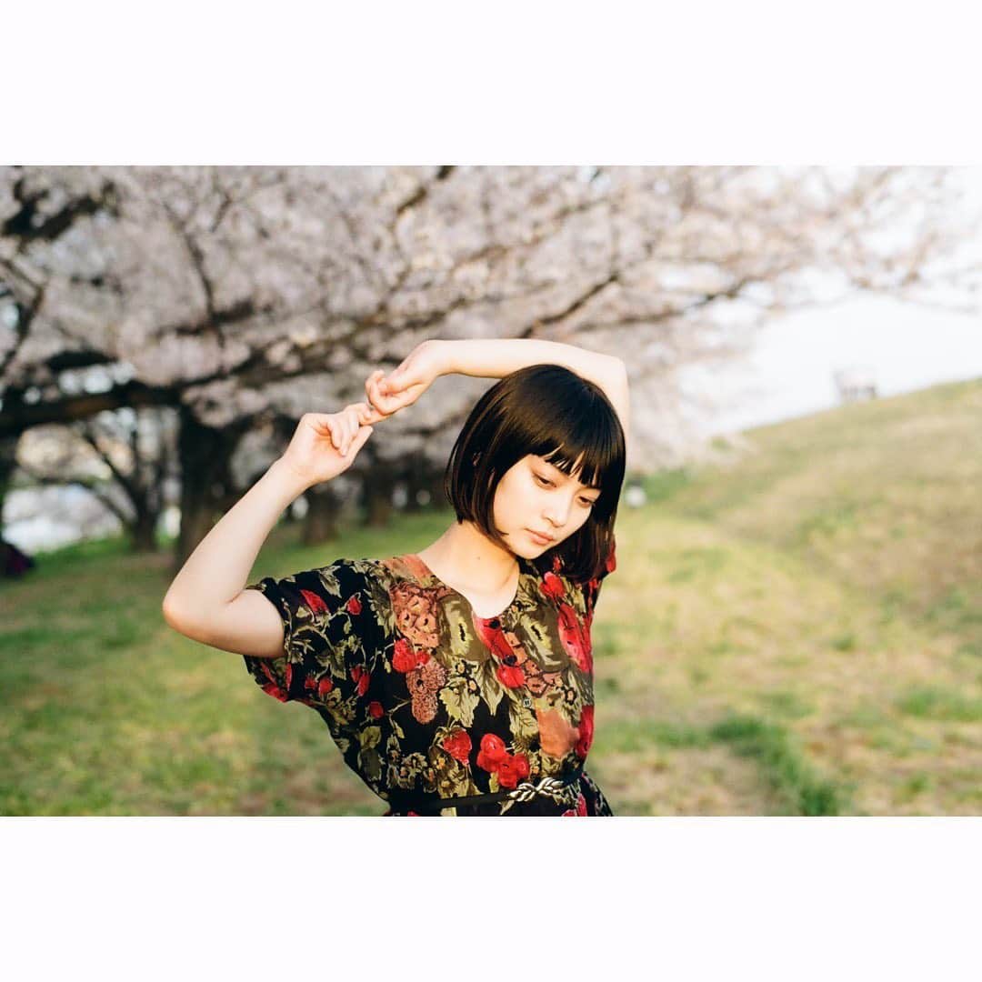 Macoto Tanaka 田中真琴さんのインスタグラム写真 - (Macoto Tanaka 田中真琴Instagram)「今年もお花見したいなぁ🌸 去年友達に撮ってもらったシリーズ🌸🍓 3人のお友達に撮ってもらって、それぞれ雰囲気が違くて面白い。 #お花見」3月15日 17時19分 - mac0tter
