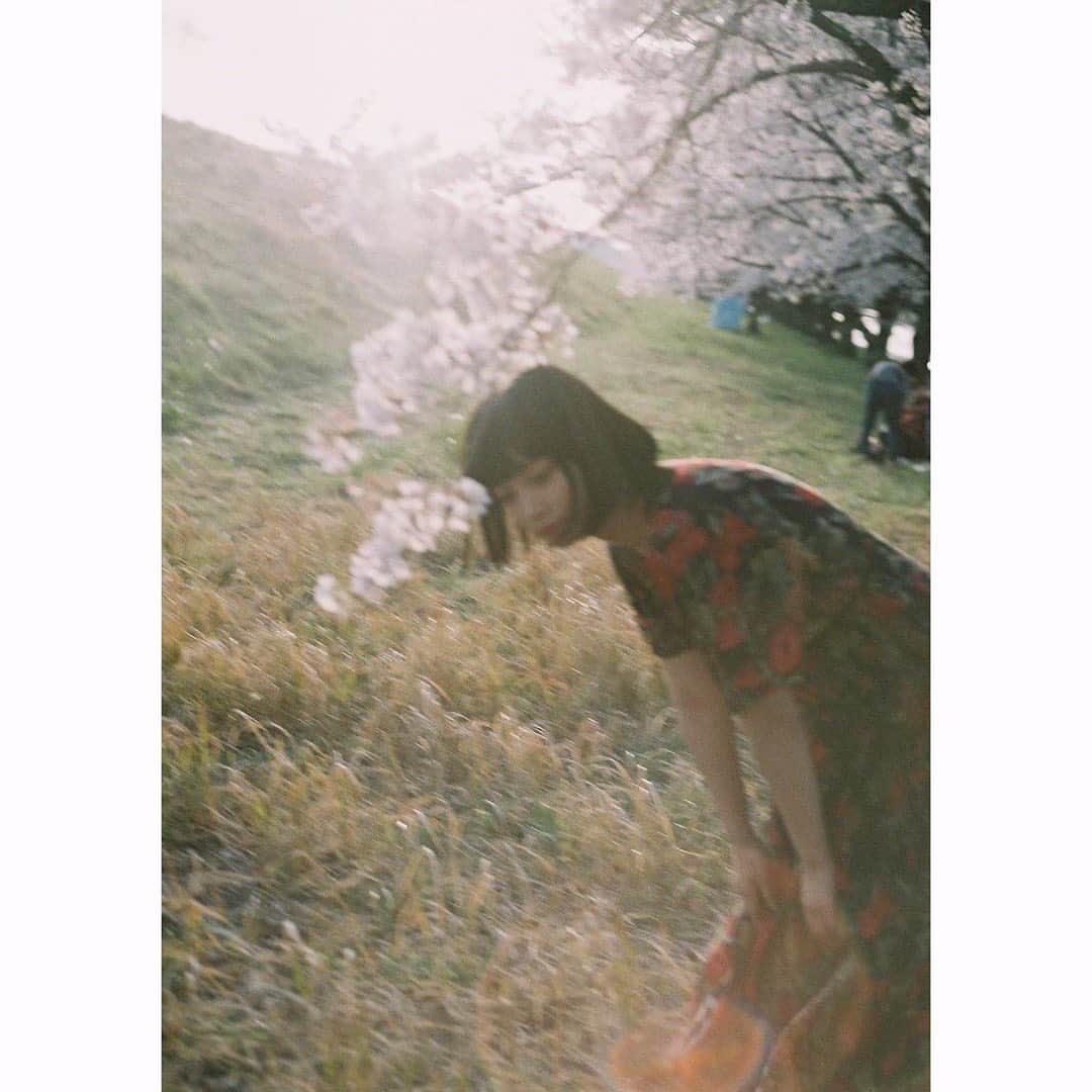 Macoto Tanaka 田中真琴さんのインスタグラム写真 - (Macoto Tanaka 田中真琴Instagram)「今年もお花見したいなぁ🌸 去年友達に撮ってもらったシリーズ🌸🍓 3人のお友達に撮ってもらって、それぞれ雰囲気が違くて面白い。 #お花見」3月15日 17時19分 - mac0tter