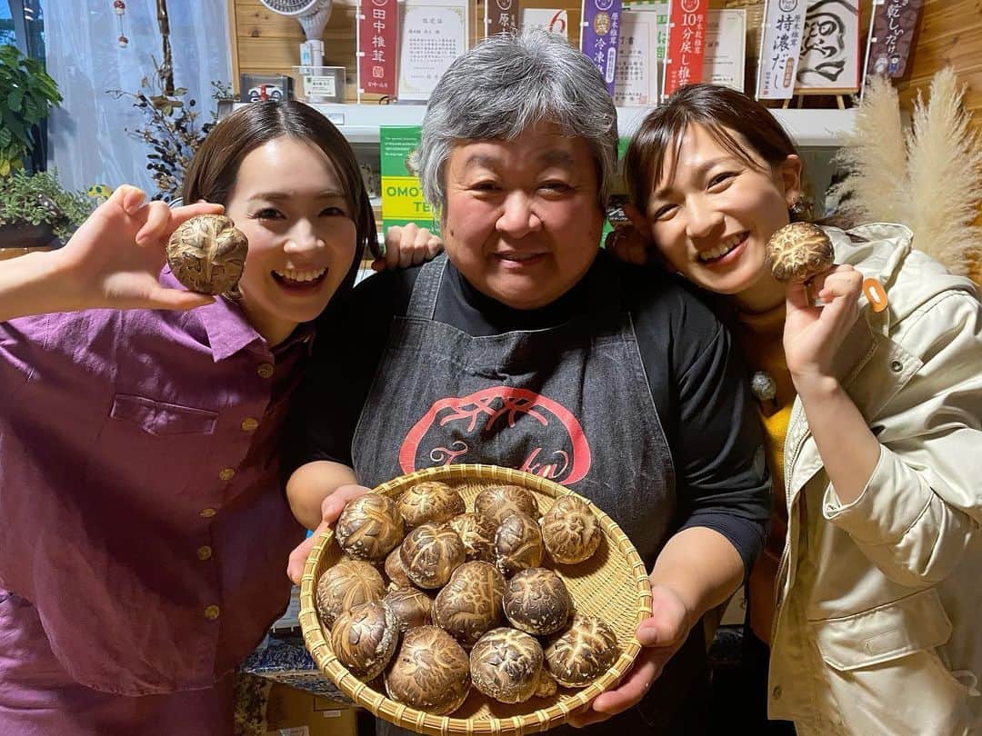 酒井瞳さんのインスタグラム写真 - (酒井瞳Instagram)「原木椎茸も大好きだけど  田中椎茸のお母さんも大好き❤✨  今まで沢山の美味しい料理を作ってくれる方たちに出会ってきたけど  皆さんの共通の想いは  "美味しい物を食べてもらいたい"  本当に皆さんこの想いが強くて、こだわって日々美味しいを追求してる🥺🔥  今回も原木椎茸の美味しさを沢山の方に知ってほしいというお母さんの想いがとっても強くて  私も心から応援したいって思ったよ✊✨  本当に美味しいし、この美味しさ知ってもらいたい🤤‼️  お料理の美味しさは  どんな方の想いが込められているかで  また美味しさ増し増しになるね☺️  #宮崎 #よかばん #田中椎茸 #原木椎茸 #椎茸 #しいたけ #高原町 #健康 #美味しい」3月15日 19時58分 - s.sakaihitomi