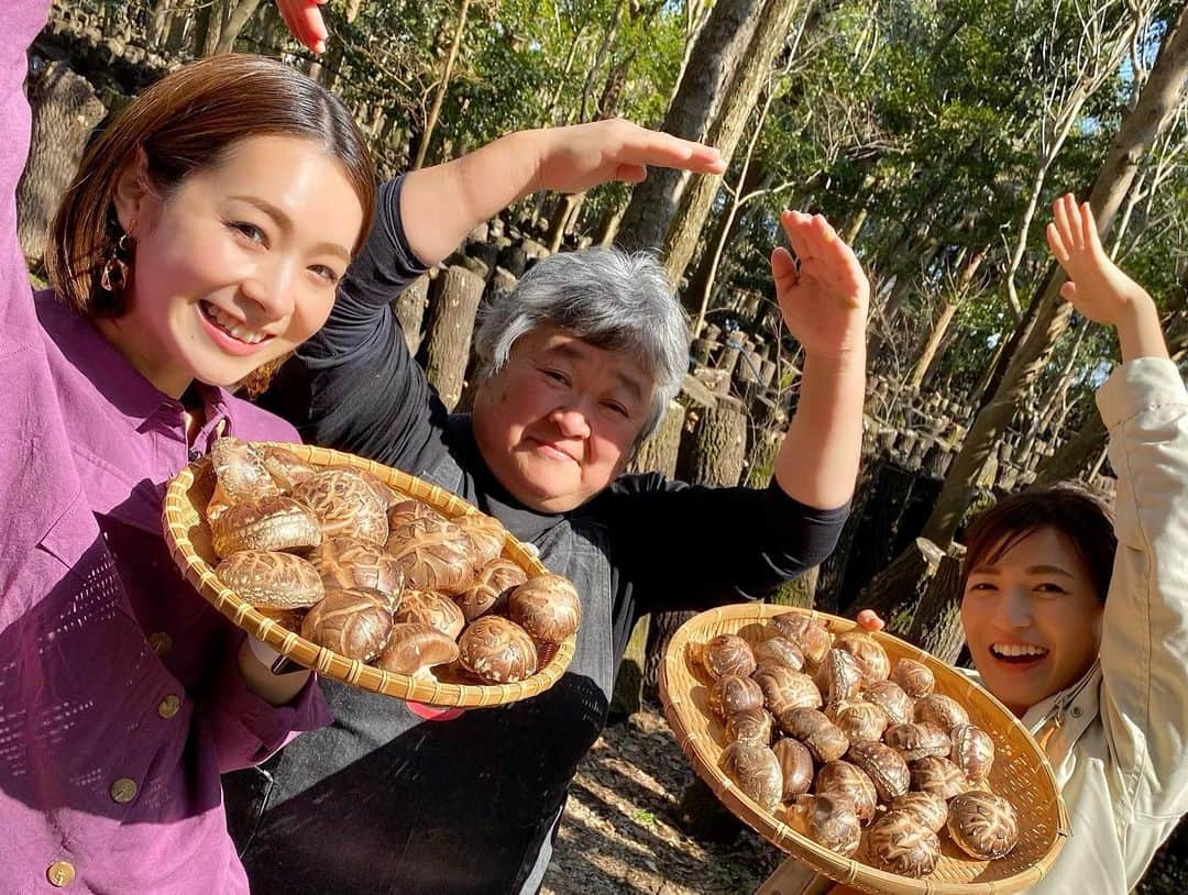 酒井瞳さんのインスタグラム写真 - (酒井瞳Instagram)「原木椎茸も大好きだけど  田中椎茸のお母さんも大好き❤✨  今まで沢山の美味しい料理を作ってくれる方たちに出会ってきたけど  皆さんの共通の想いは  "美味しい物を食べてもらいたい"  本当に皆さんこの想いが強くて、こだわって日々美味しいを追求してる🥺🔥  今回も原木椎茸の美味しさを沢山の方に知ってほしいというお母さんの想いがとっても強くて  私も心から応援したいって思ったよ✊✨  本当に美味しいし、この美味しさ知ってもらいたい🤤‼️  お料理の美味しさは  どんな方の想いが込められているかで  また美味しさ増し増しになるね☺️  #宮崎 #よかばん #田中椎茸 #原木椎茸 #椎茸 #しいたけ #高原町 #健康 #美味しい」3月15日 19時58分 - s.sakaihitomi