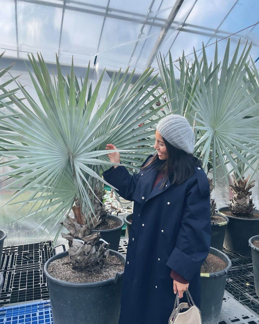 清宮佑美さんのインスタグラム写真 - (清宮佑美Instagram)「少し前にプラントハンター西畠清順さんの農場にお邪魔しました🌿 @seijun_nishihata @from_sora  大阪 池田にある広い農場には世界中から集められた植物たちを常時1000種類以上管理しているそう🌳🌲🌿😳✨ 清順さんに貴重なお話を伺いながら ゆっくり2日間掛けて マイホームのお庭に植える木や室内の植物たちを選びました😍✨ お庭のシンボルツリーには この大きなオーガスタを🌲✨ お庭の完成は4月中旬予定🤤💛💛💛 心に安らぎを与えてくれるグリーンとの暮らしが今からとっても楽しみです🥺😮‍💨🍀  🧥 @searoomlynn_official 💙 🧢 @marihoja  👜 @stellamccartney   #グリーンのある暮らし #植物 #観葉植物 #そら植物園 #マイホーム #新築一戸建て #西畠清順 #プラントハンター #お庭作り」3月16日 15時37分 - yuumi_seimiya