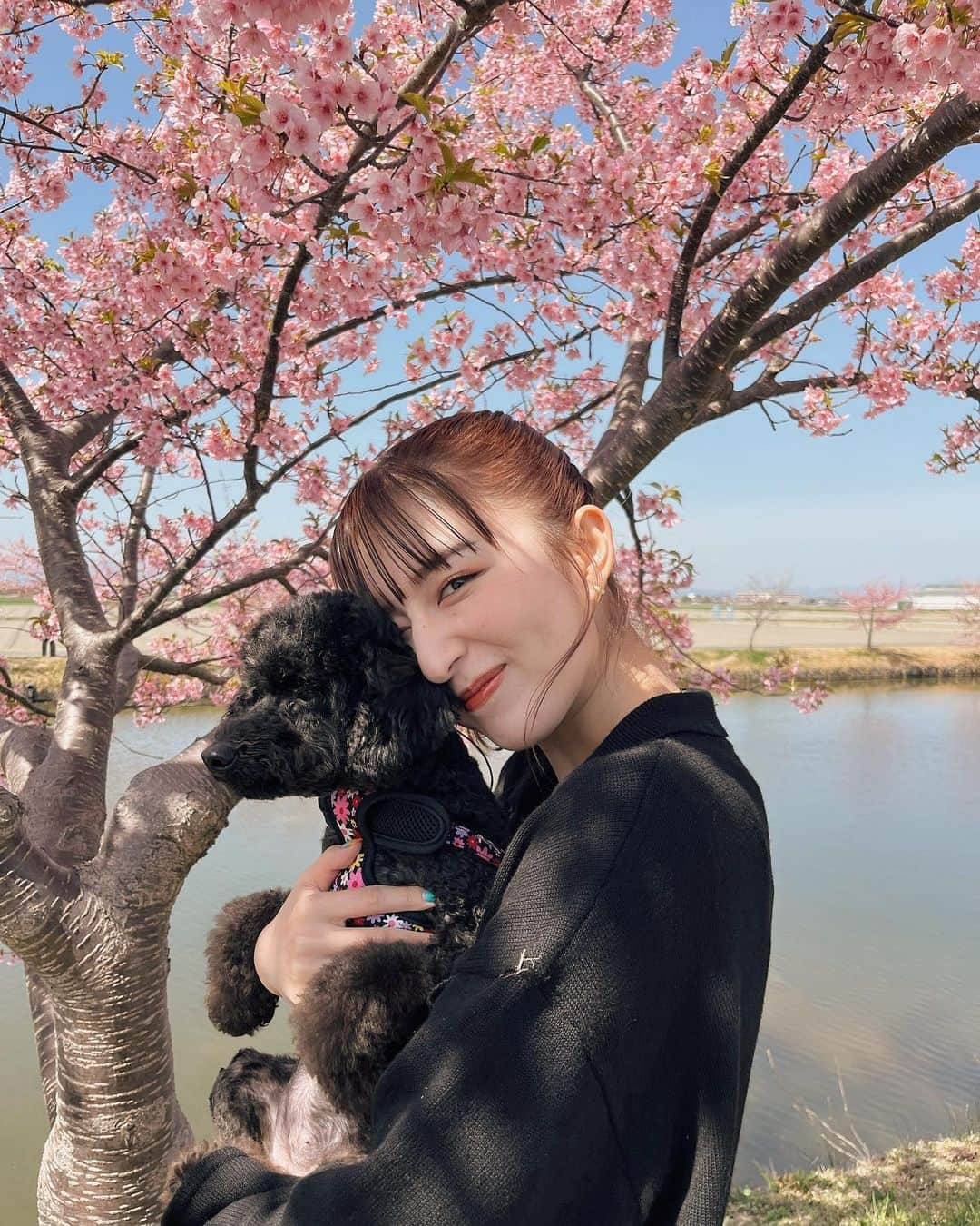 市野莉佳さんのインスタグラム写真 - (市野莉佳Instagram)「. 自分の運転で だいすきな愛犬たちとお出かけして 桜見てきた~！🌸 めろもおはぎも喜んでて かわいかった~！ . #りかりこ #桜 #お花見 #春コーデ #春服 #セットアップ #愛犬 #トイプードル #ヘアアレンジ #ヘアカラー #ファッション #コーデ #fashion #ootd #japan #instagood」3月16日 19時01分 - ichirika_62