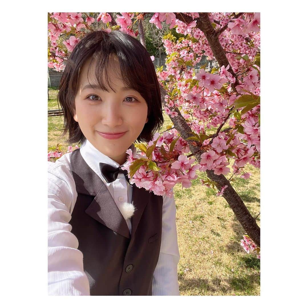 東留伽さんのインスタグラム写真 - (東留伽Instagram)「ロケ中に満開の桜を発見！✨ 仕事を忘れて、見惚れてしまいました。 ． ． 皆さんにも少しだけお裾分けします😌🌸 ． 深呼吸大事ね ． #🌸  #桜 #お花見  #ロケ #旅サラダ #コレうまの旅」3月16日 19時03分 - azumaruka_abc