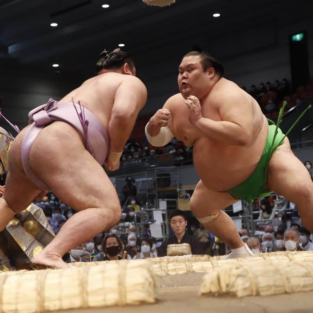 日本相撲協会さんのインスタグラム写真 - (日本相撲協会Instagram)「大相撲三月場所 四日目！ 本日は、取組それぞれの立合いの瞬間をご覧下さい！  @sumokyokai  #大相撲 #sumo #相撲 #力士 #お相撲さん #japanphoto #sumowrestlers #japanculture  #三月場所 #3月場所 #春場所 #大阪場所 #栃ノ心 #千代の国 #千代丸 #千代大龍 #照強 #琴ノ若 #阿炎 #貴景勝 #宇良 #逸ノ城」3月17日 9時01分 - sumokyokai