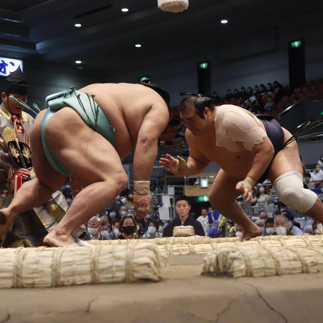 日本相撲協会さんのインスタグラム写真 - (日本相撲協会Instagram)「大相撲三月場所 四日目！ 本日は、取組それぞれの立合いの瞬間をご覧下さい！  @sumokyokai  #大相撲 #sumo #相撲 #力士 #お相撲さん #japanphoto #sumowrestlers #japanculture  #三月場所 #3月場所 #春場所 #大阪場所 #栃ノ心 #千代の国 #千代丸 #千代大龍 #照強 #琴ノ若 #阿炎 #貴景勝 #宇良 #逸ノ城」3月17日 9時01分 - sumokyokai