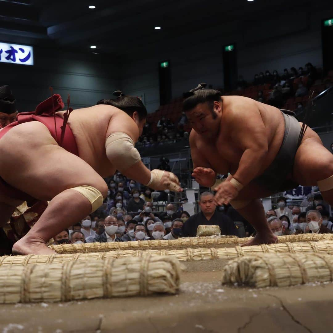 日本相撲協会さんのインスタグラム写真 - (日本相撲協会Instagram)「大相撲三月場所 四日目！ 本日は、取組それぞれの立合いの瞬間をご覧下さい！  @sumokyokai  #大相撲 #sumo #相撲 #力士 #お相撲さん #japanphoto #sumowrestlers #japanculture  #三月場所 #3月場所 #春場所 #大阪場所 #栃ノ心 #千代の国 #千代丸 #千代大龍 #照強 #琴ノ若 #阿炎 #貴景勝 #宇良 #逸ノ城」3月17日 9時01分 - sumokyokai