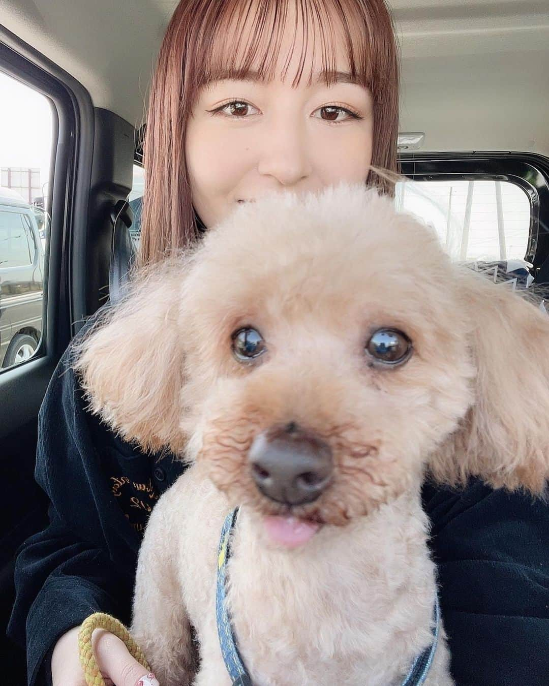 市野莉子さんのインスタグラム写真 - (市野莉子Instagram)「少しだけやったけど、実家へ帰って愛犬達に会えた🐶 毎回帰ると、めっちゃ喜んでくれるの嬉しい♡笑 動画も撮ったから、編集できたらYouTubeに載せるね😌  jacket @aclent_official tops @sly_official pants @milkfedjp shoes @toryburch  #りかりこ#いぬ#犬のいる暮らし#海#いぬすたぐらむ#プーチー#トイプードル#愛犬#三重#春服#春コーデ#ファッション#오오티디」3月17日 19時28分 - riko_ichino