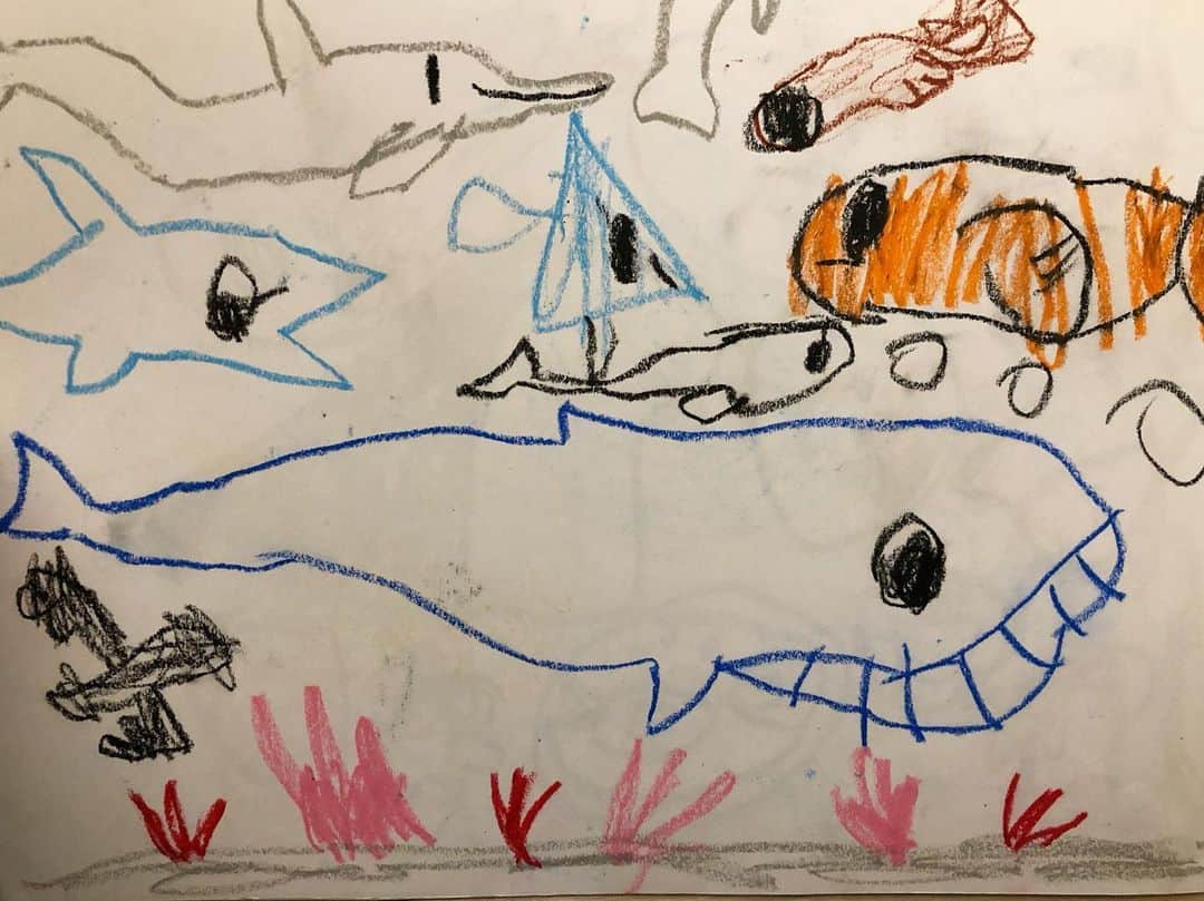 鷲尾春果さんのインスタグラム写真 - (鷲尾春果Instagram)「もうすぐ春休み🌸 長男が、幼稚園で描いた1年分の絵を持って帰ってきました！ 何より、お絵描きが好きな息子👦🏻 大好きな動物や海の生き物でいっぱいのお絵描き帳は、支給されたものでは足りなくて、特別に2冊目を先生に作って頂いたそうです。 好きこそ物の上手なれ！！！ これからも楽しみにしてるよ〜😊✨ #3きょうだい#👧🏻👦🏻👦🏻#長男#真ん中っ子#5歳#年中 #お絵描き#大好き #動物#海の生き物#大好き #育児#子育て#ママ」3月18日 0時43分 - harukawashio