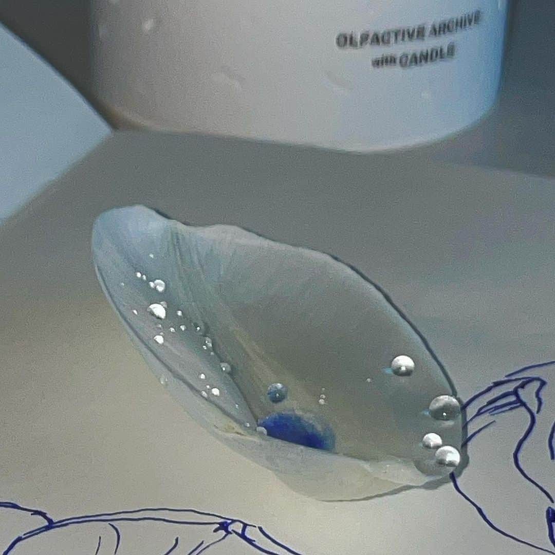 アンジェリーナ・ダニロヴァさんのインスタグラム写真 - (アンジェリーナ・ダニロヴァInstagram)「white petal series.💧」3月18日 1時29分 - angelinadanilova