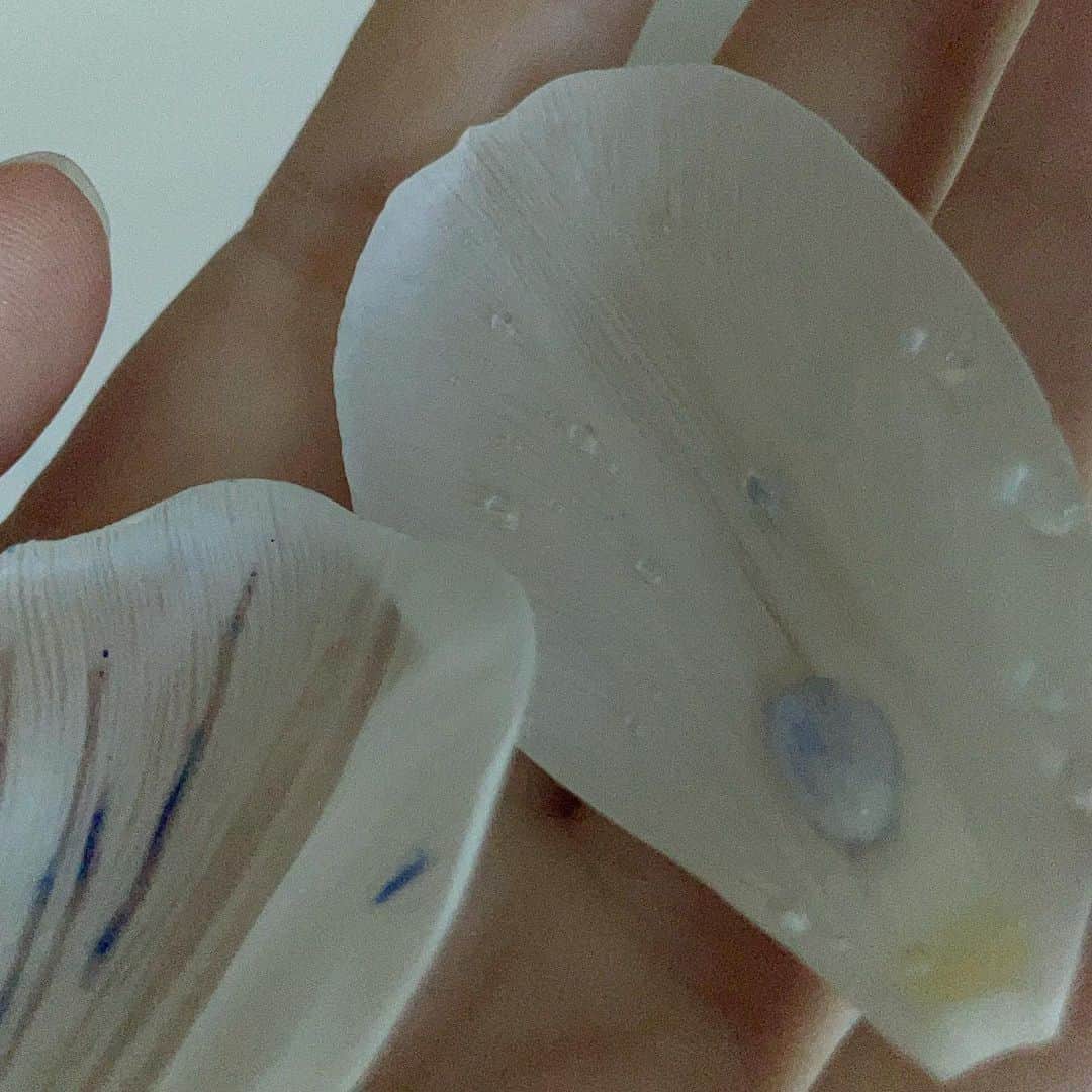 アンジェリーナ・ダニロヴァさんのインスタグラム写真 - (アンジェリーナ・ダニロヴァInstagram)「white petal series.💧」3月18日 1時29分 - angelinadanilova