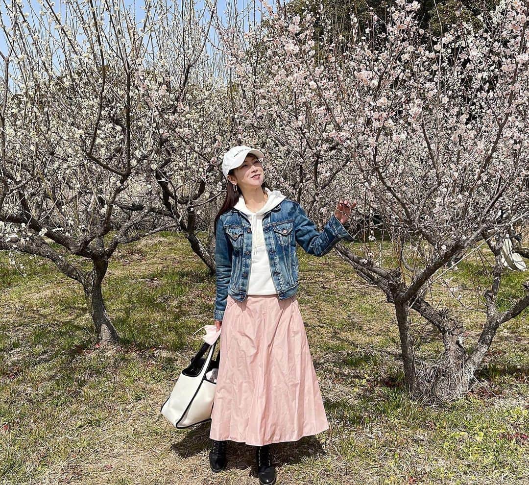 水谷雅子さんのインスタグラム写真 - (水谷雅子Instagram)「先日、愛知県知多市佐布里にある、 佐布里池梅まつりにお弁当を作って行って来ましたよ！🚗🍱🌸🎶 久しぶりに外で食べるお弁当🍱 最高に美味しかったです。😋 見渡す限りの満開の梅はほんと可愛くて綺麗でしたよ。☺️🌸💕💕 よかったらmasakoサロン見て下さいね❣️ #花見弁当#手作り弁当#ランチ #美味しいお弁当 #お出掛け#楽しい一日 #佐布里池梅まつり#満開の梅 #エスエルクリエーションズ #安心安全な食材#お取り寄せ #弁当用鶏そぼろ#鶏とごぼうミニ春巻き #サイコロさつまゴマ #こだわりえびカツ#冷凍いんげん #slcreationsのある暮らし #slcreations #冷凍食品#宅配冷凍食品#品質こだわり #無添加#z's-menu #水谷雅子#水谷雅子beautybook50の私 @slcreations_official」3月18日 11時06分 - mizutanimasako