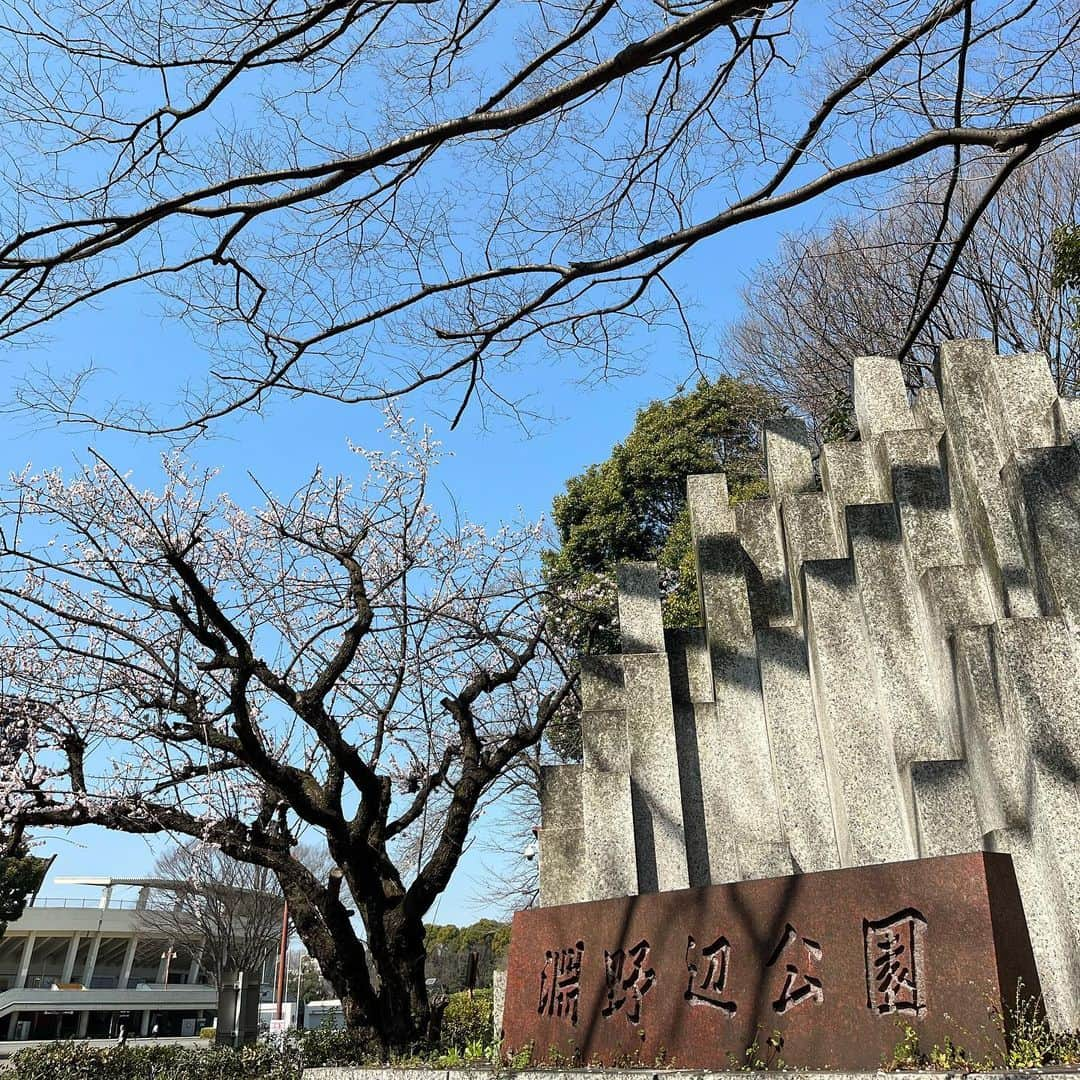 荒木宏文さんのインスタグラム写真 - (荒木宏文Instagram)「空気って僅かな変化も面白いけど、大きく変わっても面白い。 観劇慣れしてる方が多かったのかな？ 既に観て下さってる方が多かったのかな？ これまでと大きく違って衝撃的な二日間でした。 初日と二日目ではまた各々抱える感情は変化していた。 僕達カンパニーも、お客様も。 そんな二日間の三公演。 メイクを落とす度に目の周りはアイメイクが落とせて無いのでは？と思うくらいのクマができゲッソリとやつれていた。 それだけ正気を吸われる程のお客様の動員数と集中力に毎回幸せを感じます。 ありがとう。 また新たな発見がたくさん出来た二日間でした。 やっぱり同じ場所で何度も行う事で見えてくる事もたくさんあってとても意味を持っている。 まだまだ進んでいけそうです。 まだまだ潜っていけそうです。 まだまだ昇っていけそうです。  #ミュージカル刀剣乱舞 #にっかり青江 #単騎出陣 #神奈川公演 #神奈川県」3月18日 14時28分 - araki_hiro0614