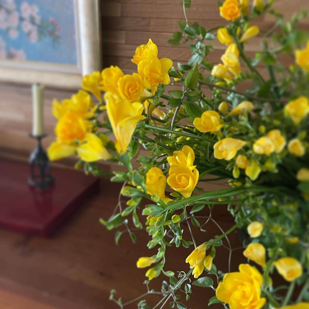 行正り香さんのインスタグラム写真 - (行正り香Instagram)「フローリスト松島理恵子さんが届けてくれたフリージア。かりんさんが絵葉書にしてくれました。春の香りです。#行正り香 #rikayukimasa #松島理恵子さんのお花教室、ご興味ありましたら ぜひ。（ご連絡はこちらにお願いします）@fleurir_rieko_matsushima 4/2土曜日のクラスは空席があるそうです。いつもお花のある豊かな時間を楽しみたい、素敵な方々が集まるお教室です。」3月18日 15時00分 - rikayukimasa