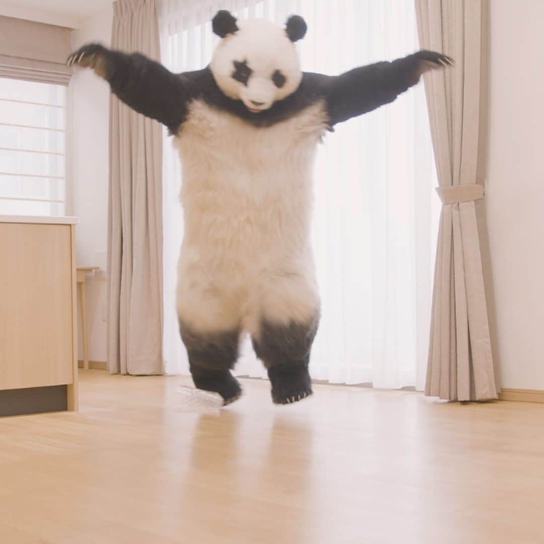 星星（セイセイ）さんのインスタグラム写真 - (星星（セイセイ）Instagram)「🧈🧈🧈🧈 #激写 . きょうの #ベラベラENGLISHは ...💯 🌟butterfingers 🌟不器用な人 . 🥄を落としたときの🐼らしい。 なんか。飛んでいる...。 #機敏な動き . #星星 #パンダ #panda #pandagram #パンダ好きな人と繋がりたい #ZIP!」3月18日 19時19分 - seisei_panda