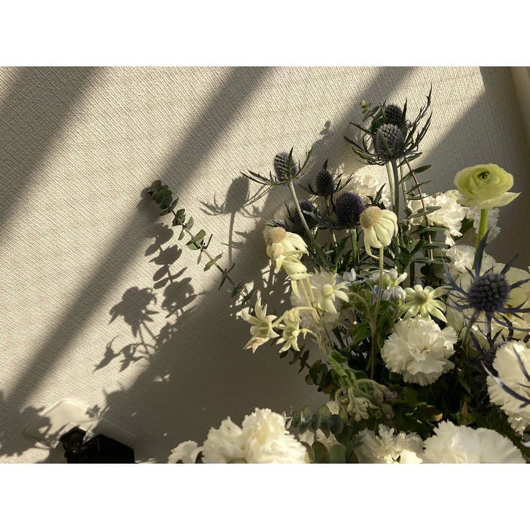 石橋静河さんのインスタグラム写真 - (石橋静河Instagram)「春」3月18日 19時39分 - shizuka_isbs