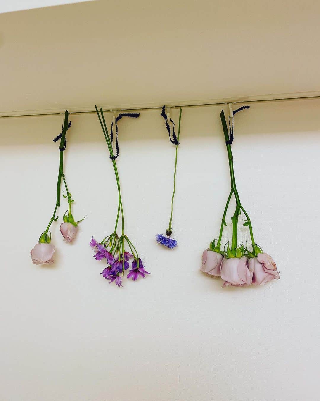 須田亜香里さんのインスタグラム写真 - (須田亜香里Instagram)「紫の花束って初めてかもしれない💜 バイキングMOREでいただいたよ！  嬉しくてたくさん写真撮ったし 帰ったら花瓶に生けて あふれた分は吊るした！ ドライフラワーうまく行きますよーに🥺🙏 #紫の花束 #ドライフラワー #須田亜香里衣装  今夜は土曜日だから 25:30〜ラジオ生放送📻 #MBSラジオ #ゴチャ13」3月19日 20時40分 - akarisuda